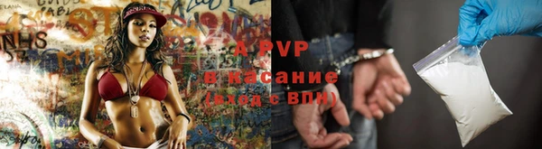 ешки Богданович