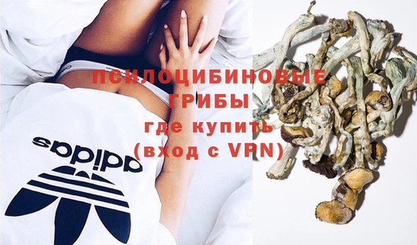 MDMA Premium VHQ Беломорск