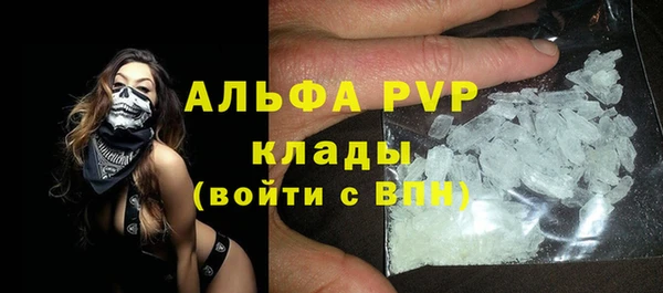 ешки Богданович
