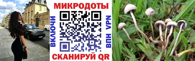 Псилоцибиновые грибы прущие грибы  Якутск 